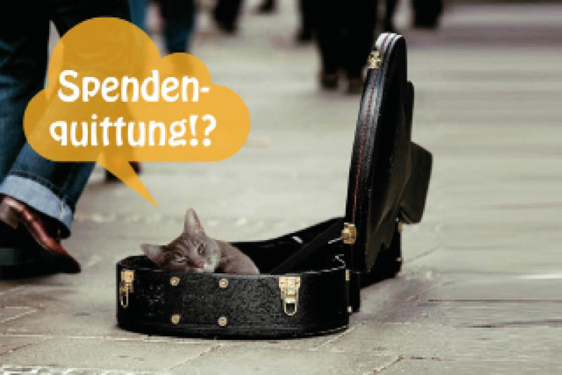 Eine Katze liegt in einem geöffneten Geigenkasten und denkt: "Spendenquittung?"