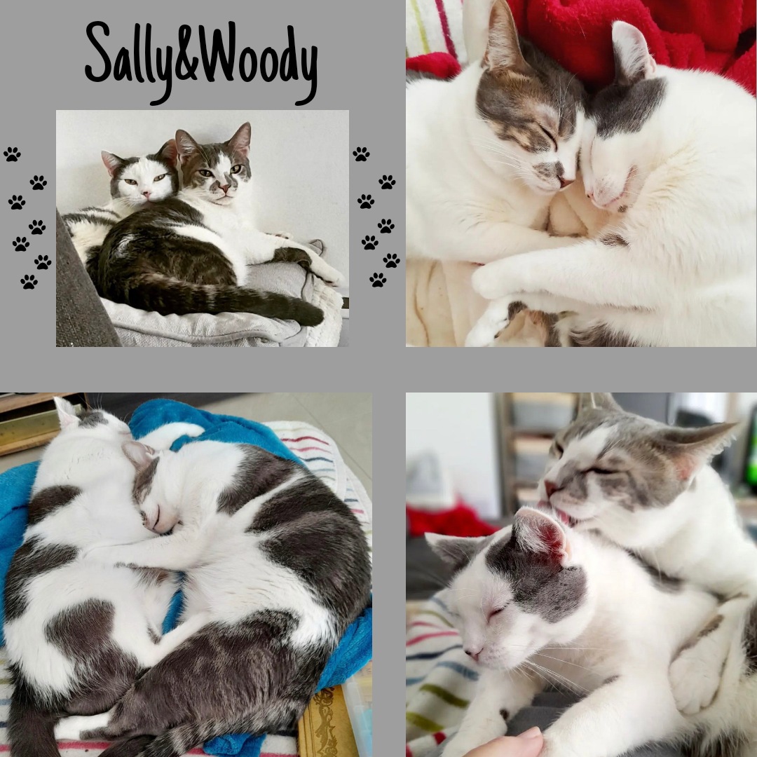 Sally & Woody